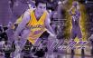 [obrazky.4ever.sk]-sasha-vujacic-la-lakers-nba-los-angales-basketbalista-basketbal-sport-muz-chlap-7665872.jpg